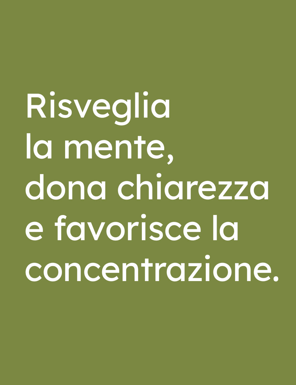Spray Menta Crispa